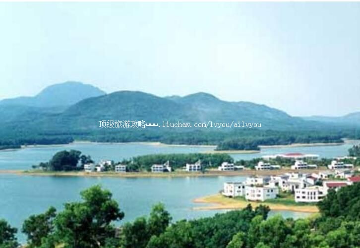 �����������º��ȼٴ����ι���