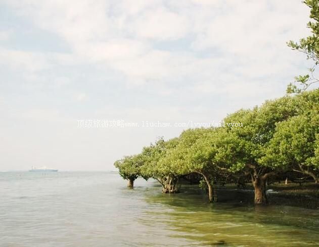 �㶫տ�������ֹ��Ҽ���Ȼ���������ι���