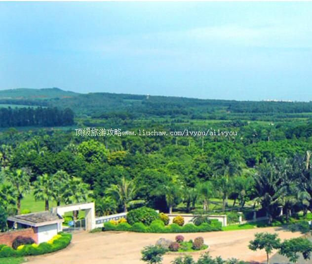 3A湛江南亚热带植物园旅游攻略