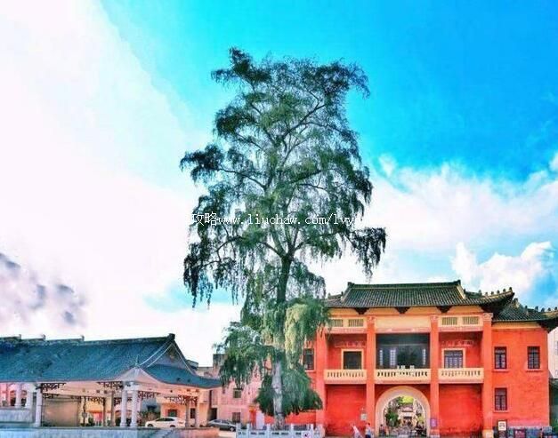 4A������ݹų����ι���