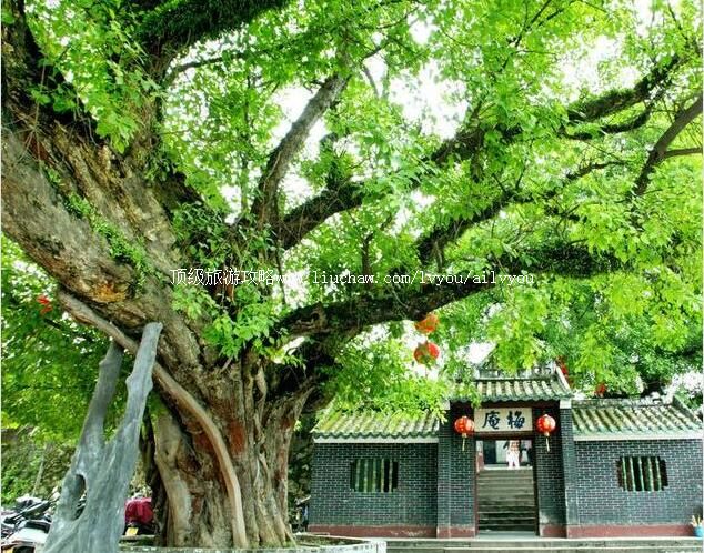 ����÷�����ι���