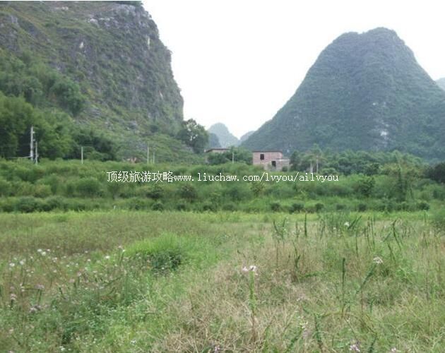 �㶫���ҷ羰��ʤ�����ι���