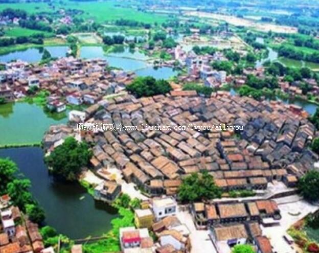 �㶫��鶹Ŵ����ι���