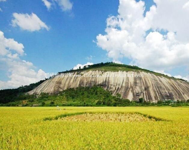 �⿪���ʯ���ι���