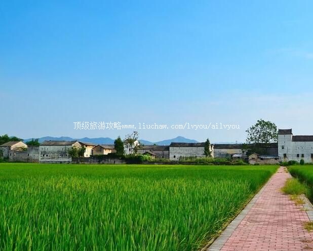 ��Դ��կ�Ŵ����ι���