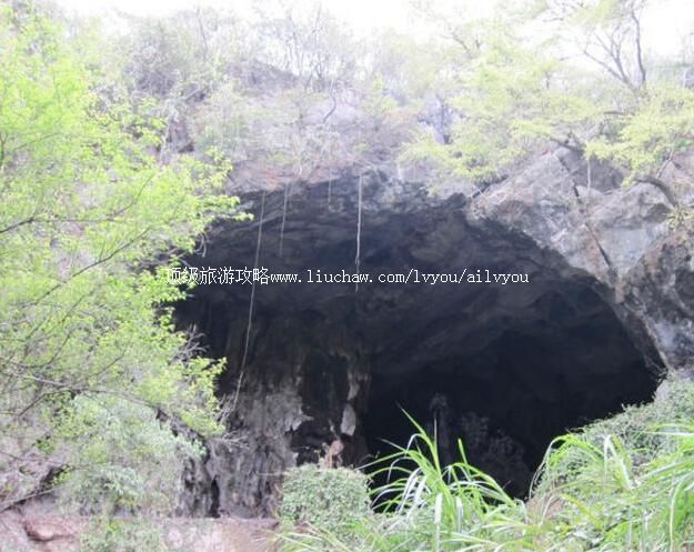 �㶫ʥ�����Ҿ������ι���