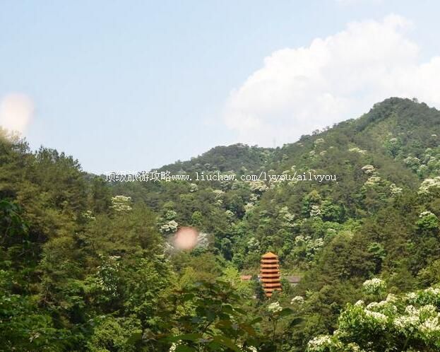 2A��Դˮ����̬�������������ι���