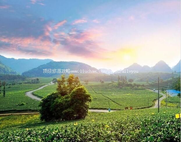 4AӢ�»������ɺ����ζȼ������ι���