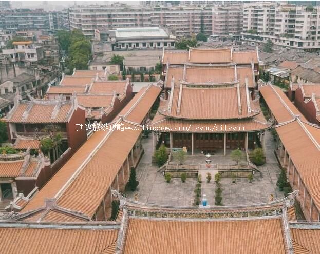 ����ѧ�����ι���