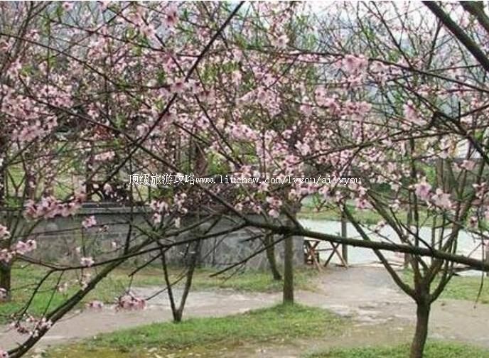 1a�����һ����ȼ������ι���