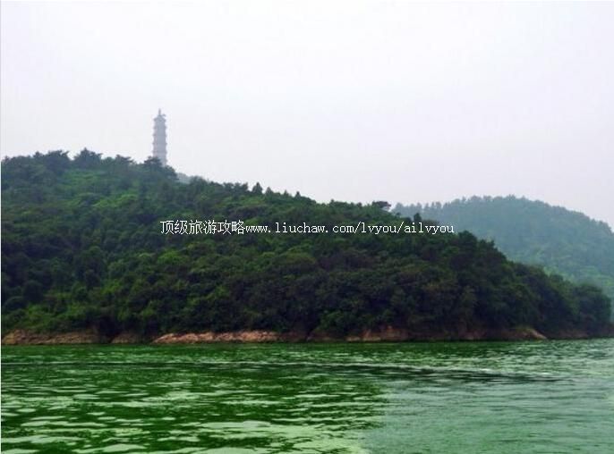 2A������ɽ���������ι���