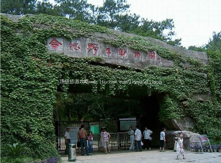 4A�Ϸ�Ұ������԰���ι���