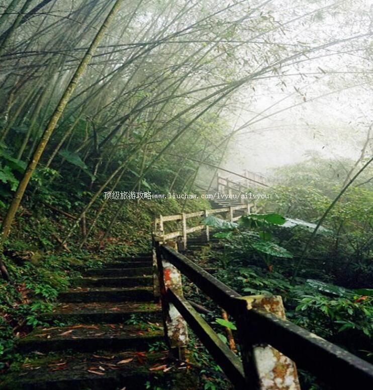 台湾嘉义瑞里风景区旅游攻略