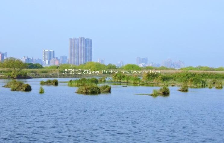 ̨��̨��������Ѽ��Ȼ��԰���ι���