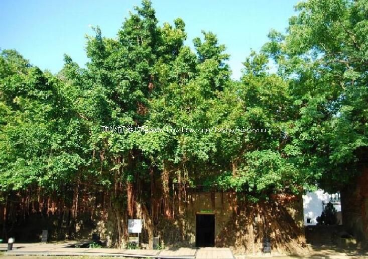 ̨��̨�ϰ�ƽ�������ι���