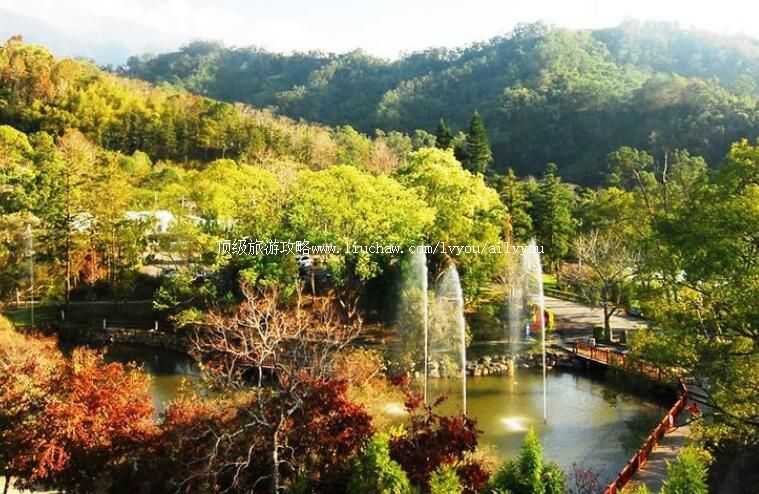 ̨��̨�ж����ֳ����ι���