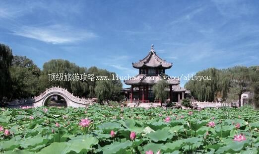 3A河北保定古莲花池旅游攻略