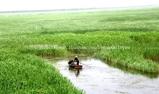 5A�ӱ�������������ι���