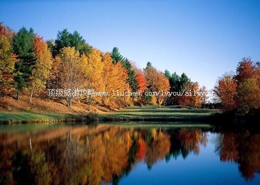 5A�ӱ�����Ұ���¾������ι���