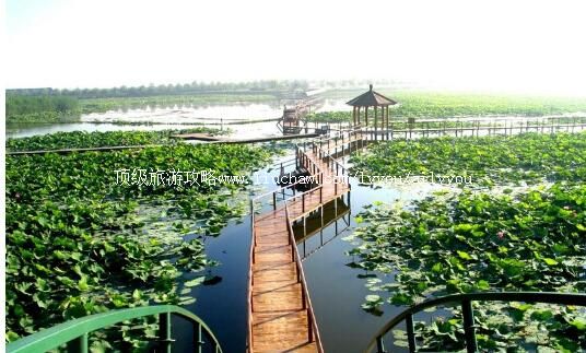 5A�ӱ������ǧ�������ι���