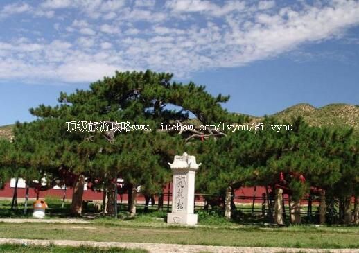 2A�ӱ��е¾��������ι���