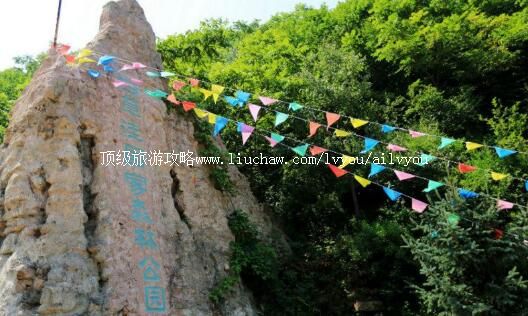 �ӱ���ƽ�ײ��ݹ���ɭ�ֹ�԰���ι���