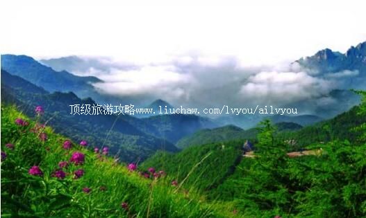 �ӱ�����ɽ��Ȼ���������ι���