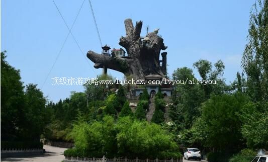 河北邯郸九龙槐景区旅游攻略