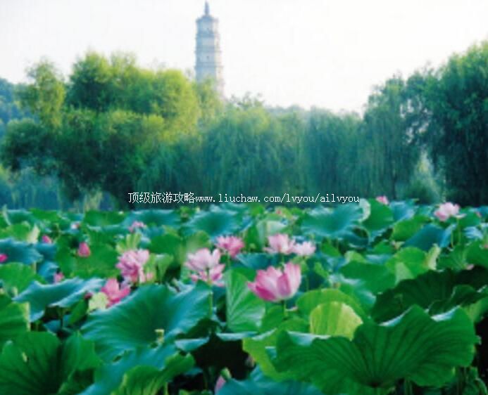 ���ݰٺɹ�԰���ι���