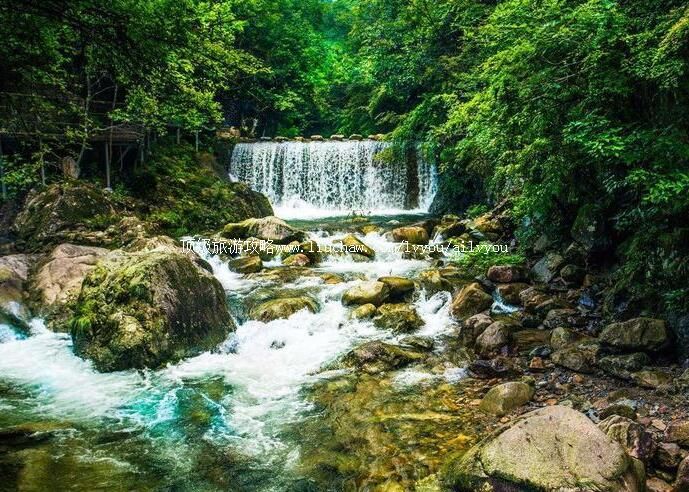 4Aʯ̨��ɽҰԭ��̬���ζȼ������ι���