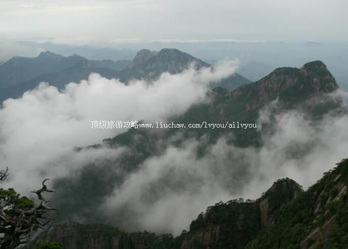 4Aʯ̨��ţ���羰�����ι���