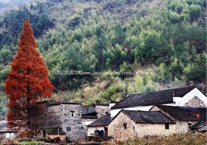 2A������Ϫ��կ���ι���