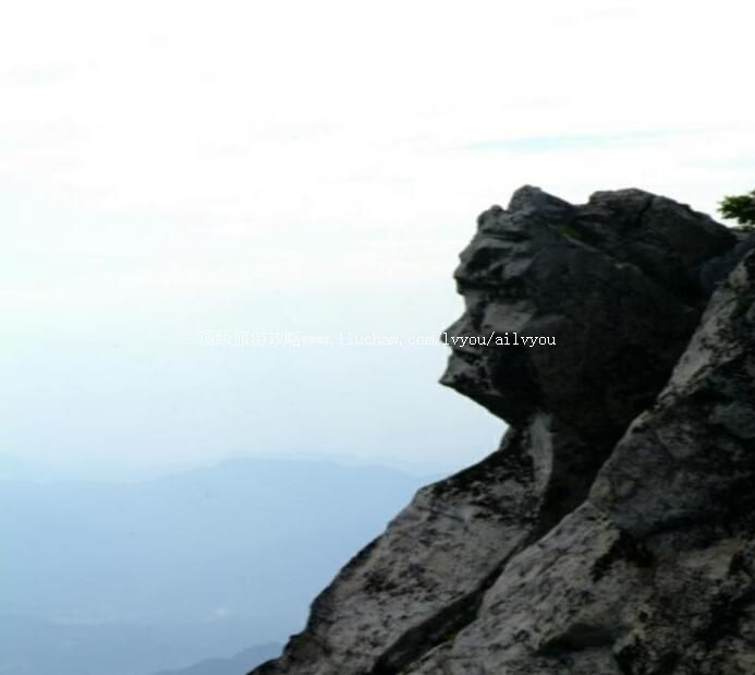 5A��������կ���ι���