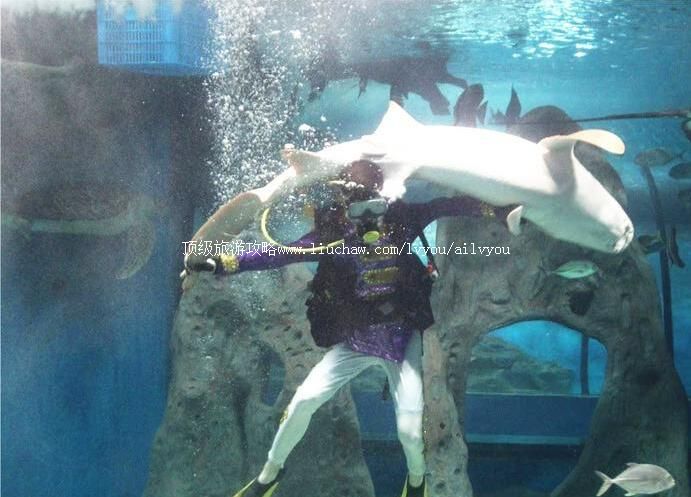 4A�����λú�����������ι���