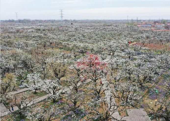 4A��ɽ�������羰�����ι���