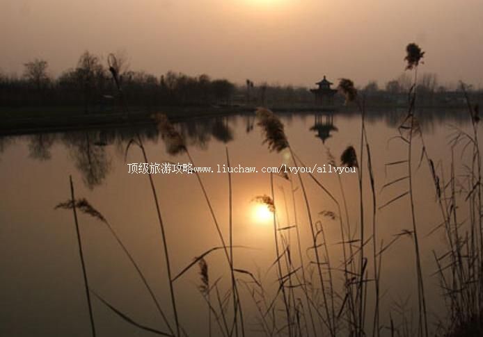 4A������̬��԰���ι���