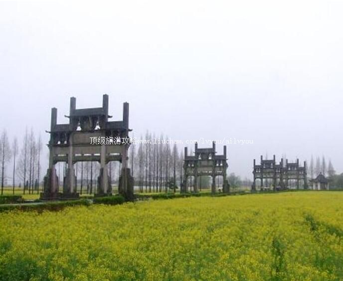 5A�����Ʒ�Ⱥ�����һ�԰���ι���