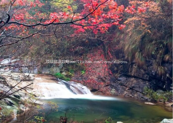 岳西鹞落坪国家级自然保护区旅游攻略