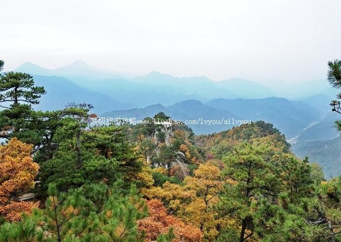 4A岳西明堂山风景区旅游攻略