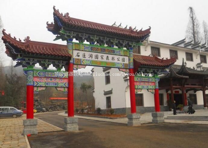 4A������������ɭ�ֹ�԰���ι���