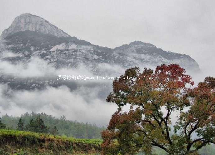 3A��������˾��ɽ���ι���