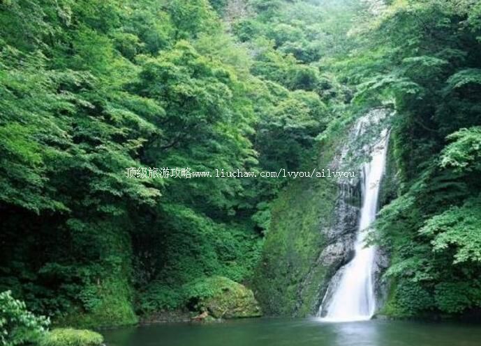 1A�����Ʒ�Ͽ�����ι���