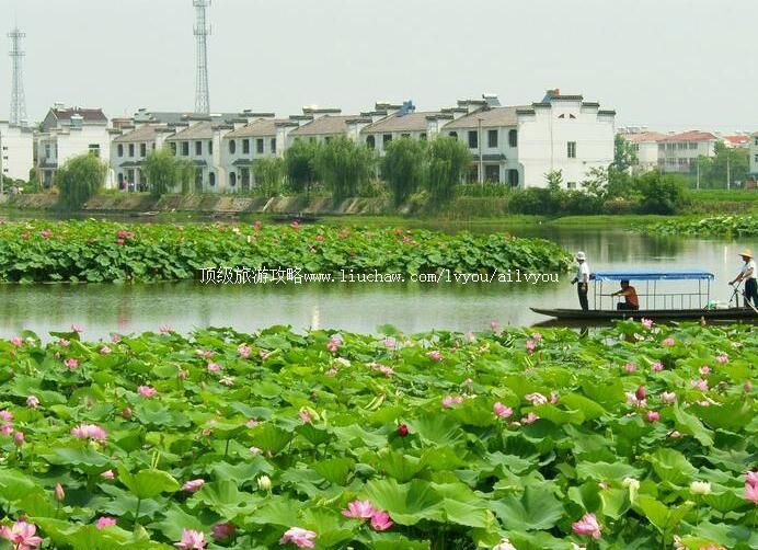 4A芜湖陶辛水韵景区旅游攻略