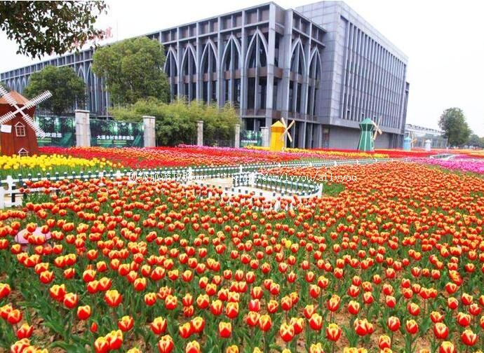 4A�ߺ���������������ι���