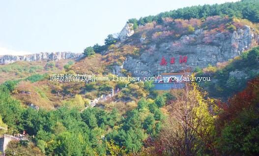 3A��������������ɭ�ֹ�԰���ι���