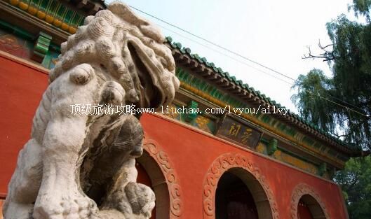 4Aɽ���������ι���