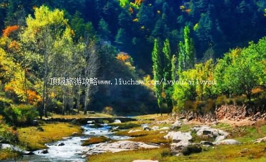 3A�����Զ������ξ������ι���