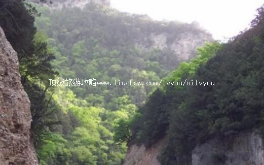 山西五鹿山国家级自然保护区旅游攻略