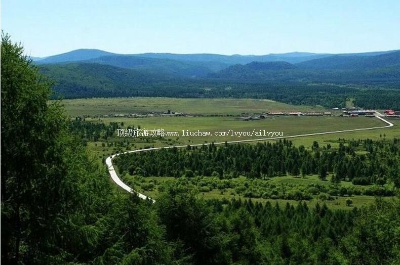 2A�˰��˰���ɽ����ɭ�ֹ�԰���ι���