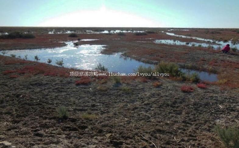 ���ɹŶ������ض����Ӻ����ι���